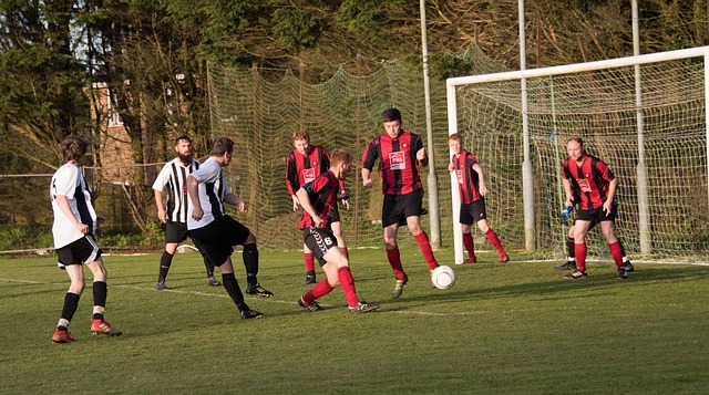 WTT总决赛抽签出炉，国乒首轮4场内战，张本美和倒霉陈幸同辟谣